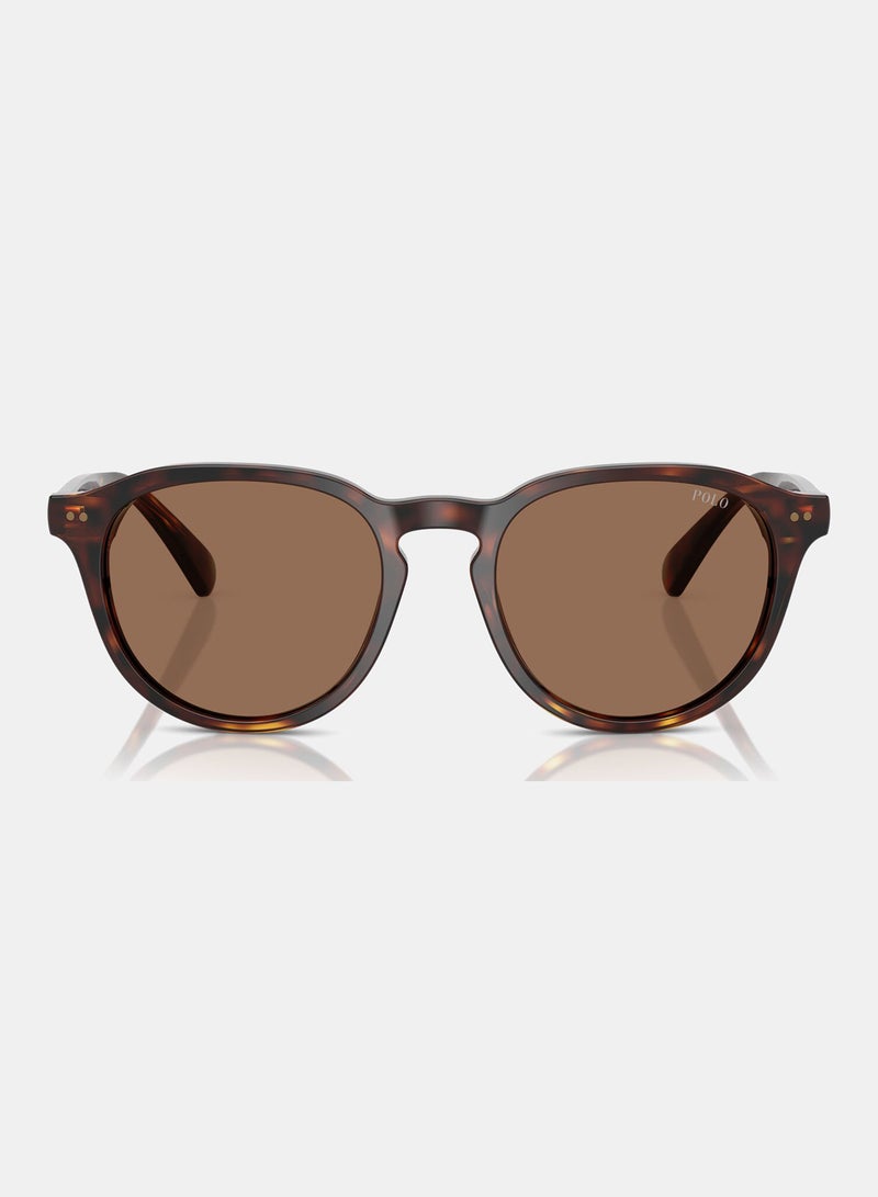POLO RALPH LAUREN Full Rim Phantos Sunglasses 0PH4221 - Image 5